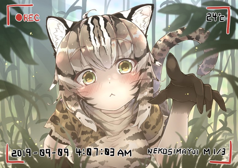 插圖